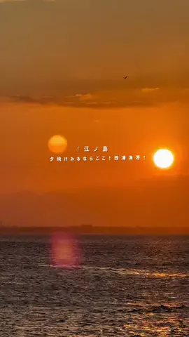 マジョリカのTikTok投稿