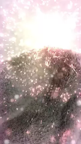 癒天神紫〆柚子💟のTikTok投稿