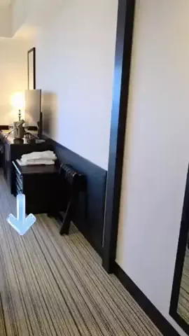 こっちゃんのTikTok投稿