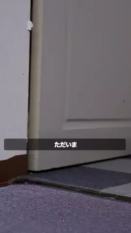 僕らの人生物語のTikTok投稿