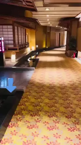こっちゃんのTikTok投稿