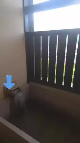 こっちゃんのTikTok投稿
