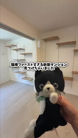 ねこにすと公式のTikTok投稿