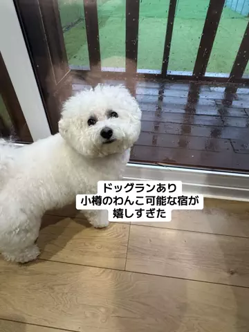 37歳おっさん旅垢のTikTok投稿