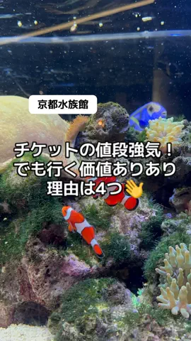 37歳おっさん旅垢のTikTok投稿