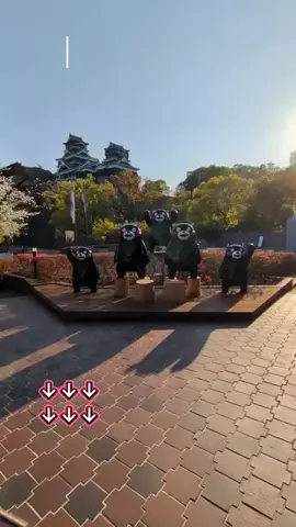 トアンもん　チャンネルのTikTok投稿
