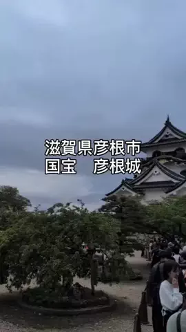 のぶ(スーパー旅行系クリエイター)のTikTok投稿