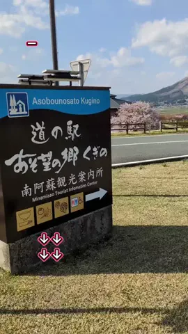トアンもん　チャンネルのTikTok投稿
