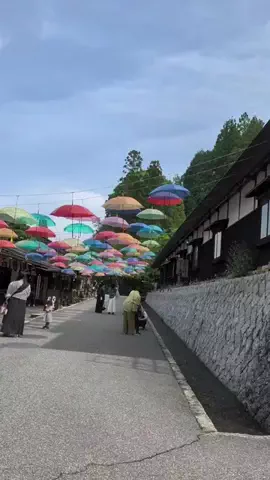 のぶ(スーパー旅行系クリエイター)のTikTok投稿