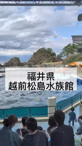 のぶ(スーパー旅行系クリエイター)のTikTok投稿