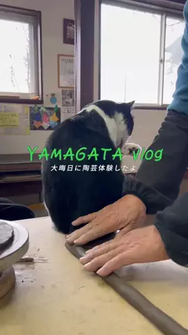 山形ちゃん [ グルメ 観光 ]のTikTok投稿