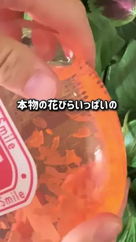 コストコ好き主婦みんごのTikTok投稿