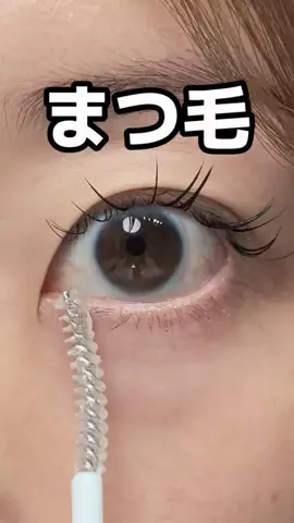 しゃけのTikTok投稿
