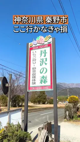 かなぐるマップ/神奈川グルメのTikTok投稿