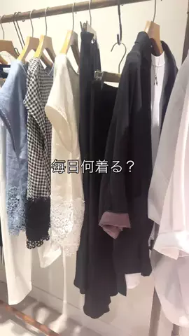 フジワラのTikTok投稿