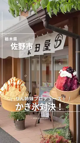 りん￤栃木のグルメとスポット👭のTikTok投稿