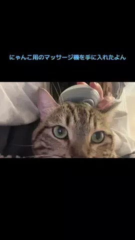 飯塚朱音(しゅおん)のTikTok投稿