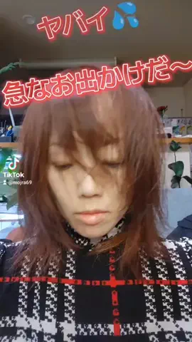 MOJRA69〜飼い主のQOL爆上げ ↗愛用品ロ グ〜のTikTok投稿