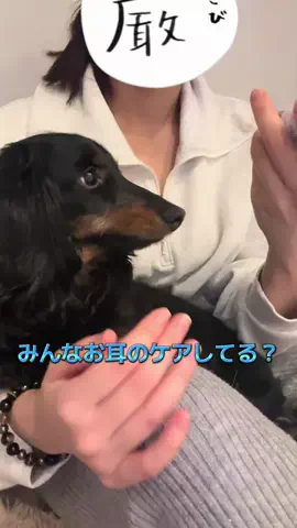 飯塚朱音(しゅおん)のTikTok投稿