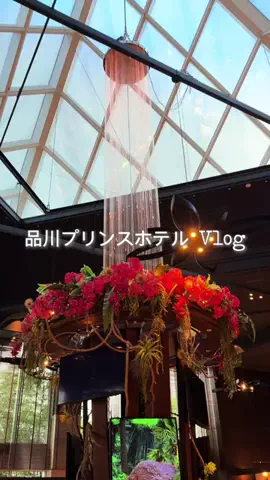 旅ログ〜映え×コスパ旅行のTikTok投稿