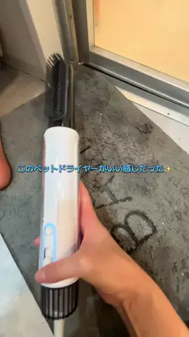 飯塚朱音(しゅおん)のTikTok投稿