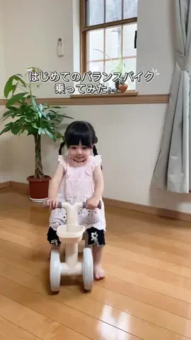 らんちゃんの日常🇻🇳🇯🇵のTikTok投稿