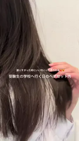ここのTikTok投稿