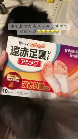 こてつ🦥🍂のTikTok投稿