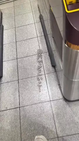 なおりん【神戸おでかけグルメ】のTikTok投稿