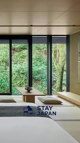 🇯🇵Stay Japan🇯🇵のTikTok投稿