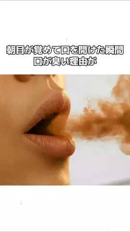 𝕄𝕠𝕖𝕜𝕒のTikTok投稿