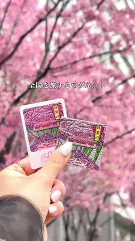 MIZUKI | 東京おでかけスポットのTikTok投稿