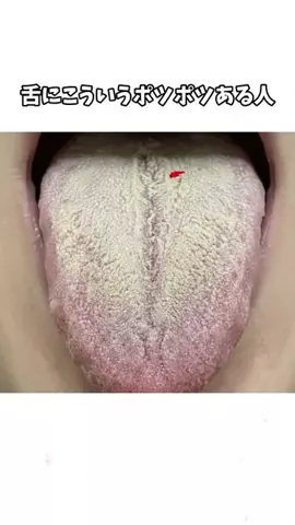 𝕄𝕠𝕖𝕜𝕒のTikTok投稿