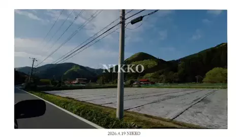 YのTikTok投稿