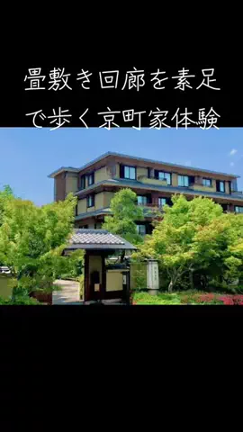 ロバート(ディエゴヴェラスケス)のTikTok投稿