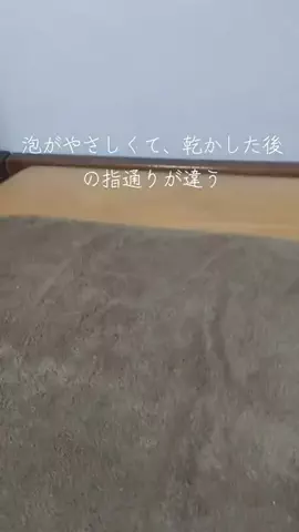 ロバート(ディエゴヴェラスケス)のTikTok投稿
