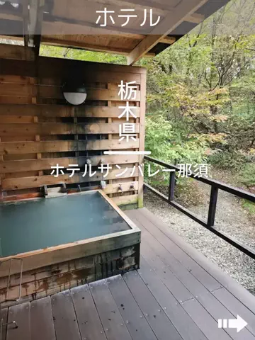 デンじょーの旅のTikTok投稿