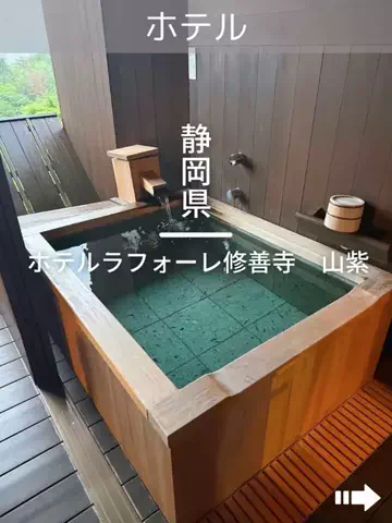 デンじょーの旅のTikTok投稿