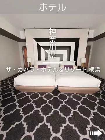 デンじょーの旅のTikTok投稿