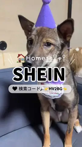 LocamiiiのTikTok投稿