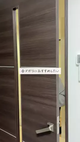 はむ｜ギャルと陰キャと柴犬のTikTok投稿