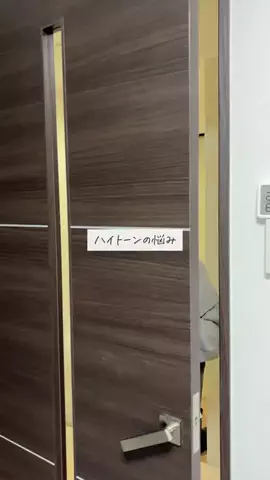 はむ｜ギャルと陰キャと柴犬のTikTok投稿