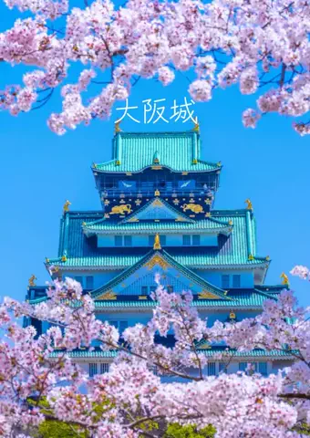 ごろり旅のTikTok投稿