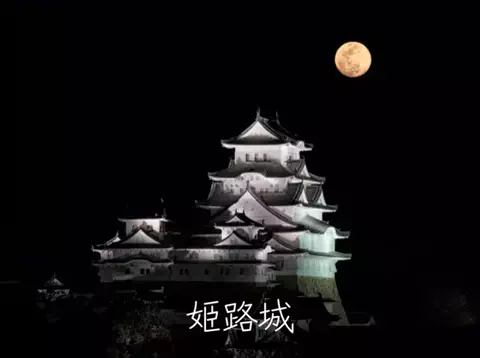 ごろり旅のTikTok投稿