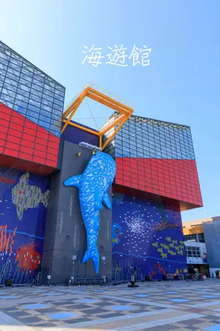 ごろり旅のTikTok投稿