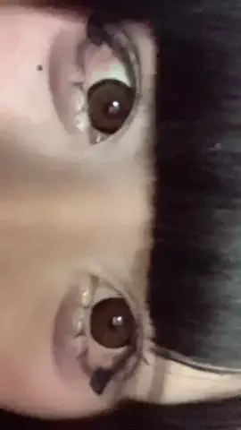 ぶちゃんのTikTok投稿