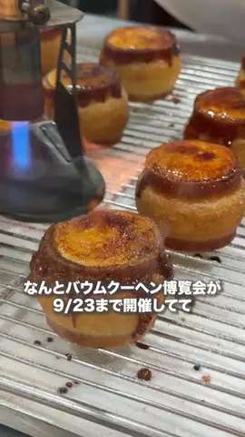 名古屋グルメ【ナゴグル】🍤のTikTok投稿