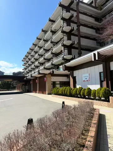 ３プーのTikTok投稿