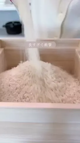 しょこのTikTok投稿