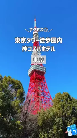 旅するてりやきのTikTok投稿